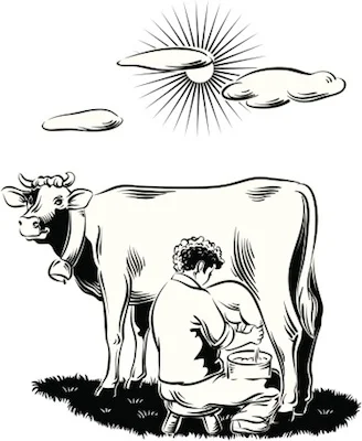 Long ago, cows were milked by hand. ©Getty Images