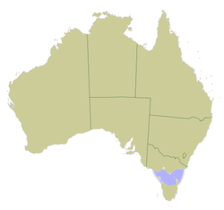Bass Strait (marked blue) is named for George Bass