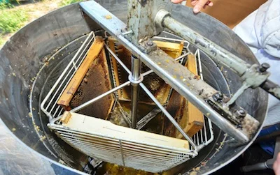 The combs are spun to remove the honey. ©Getty Images