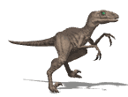 Raptors were carnivores