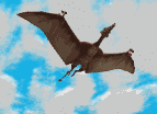 dinoptero_ani.gif