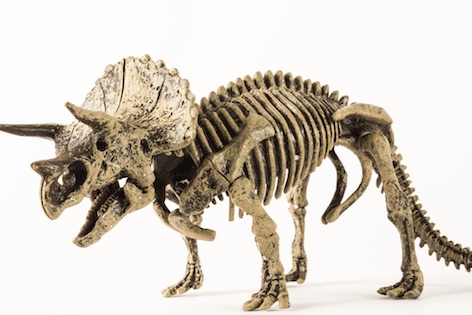 Triceratops skeleton: a giant 3D jigsaw puzzle for scientists ©Getty Images