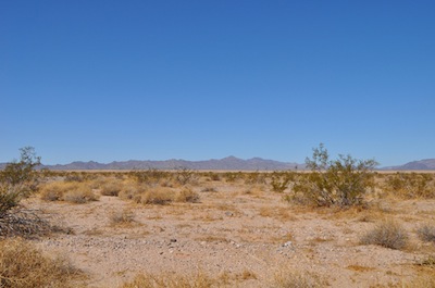 Mojave Desert, USA - desert biome ©kidcyber