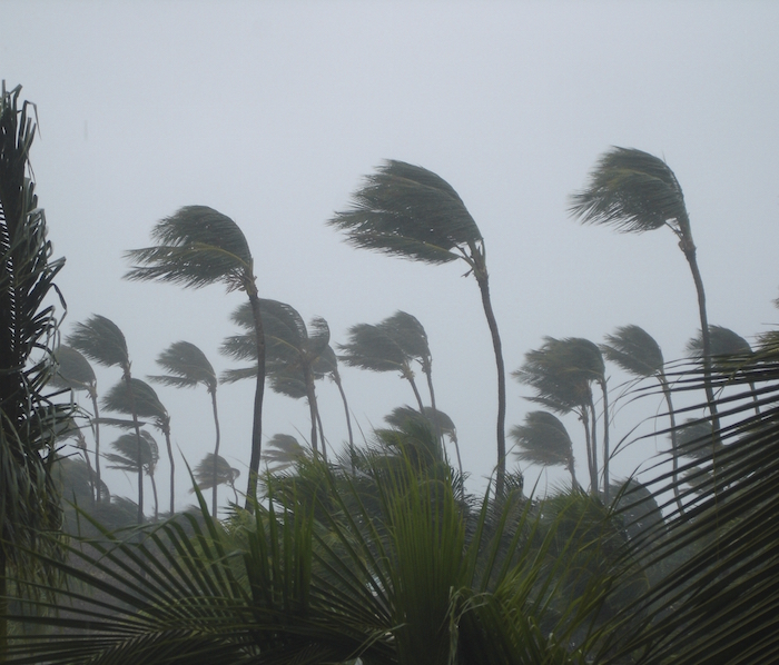 Cyclones bring high winds and heavy rain. ©iStock