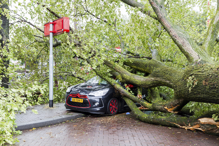 Cyclones leave behind lots of damage. ©iStock