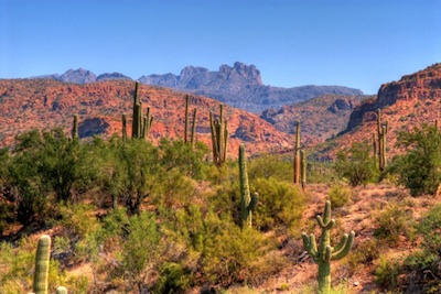 Tall saguaro cactus in the Arizona desert, USA ©Getty Images