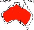 Where budgerigars are found in the wild.