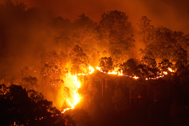 Bushfires cause a lot of damage each year in many parts of Australia. © Getty Images