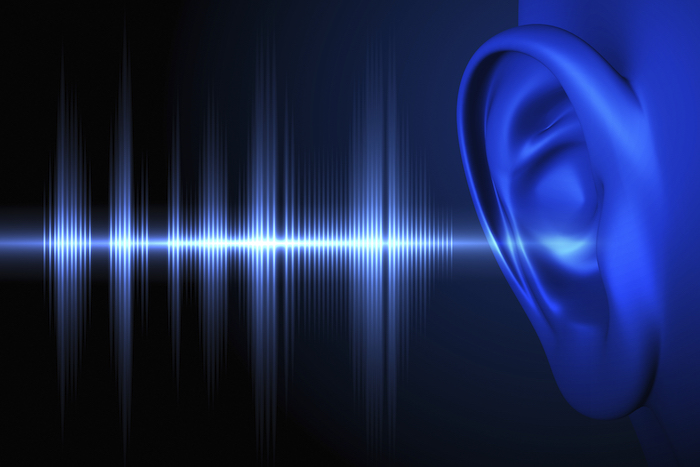 Sound waves enter the ear and the brain tells us what we are hearing. ©iStock Images