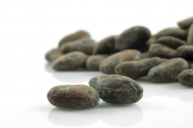 Spanish explorers learned how to make a chocolate drink from the cocoa bean from the Aztecs in Mexico. It soon became popular in Spain, France and England. Getty Images