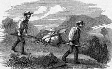 Travelling to the goldfields ©Getty Images