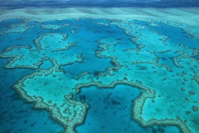 Part of the Great Barrier Reef seen from the air. ©Getty Images