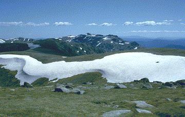 Hume and Hovell were the first white men to see Australian Alps