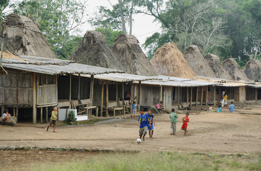 Houses in an Indonesian kampung (village) © iStock