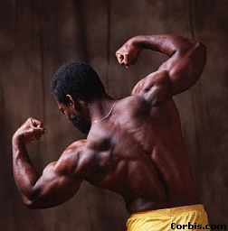 Voluntary muscles work when you think about wanting to do something. As one muscle contracts the other relaxes and this moves the bones.
