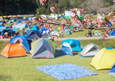 A campsite in the summer holidays©Getty Images