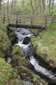 A stream ©Getty Images