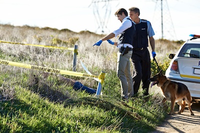 Police use dogs to help in some emergencies. Getty Images