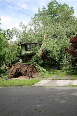 Time to call the SES! Getty Images
