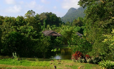 Borneo's Kinabalu rainforest ©Getty Images