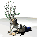 Plant a fruit tree and grow your own fruit.