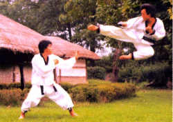 taekwondo2 (1).gif