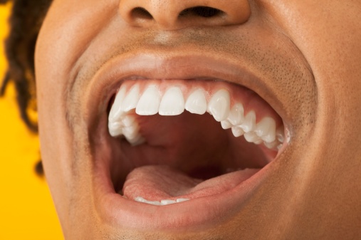 Teeth have a different shape for different jobs. Getty Images