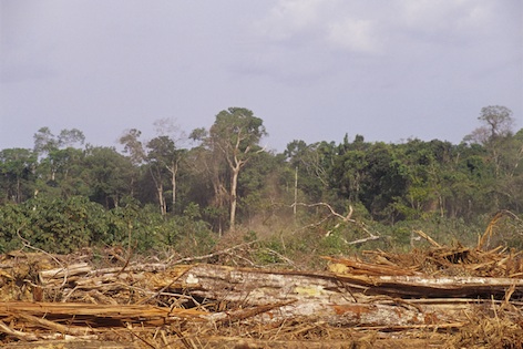 Deforestation in the Amazon rainforest. ©Getty Images