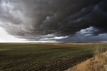 Cumulonimbus clouds bring rain. iStock