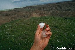 A large hailstone.
