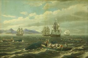 Before steamships, whalers hunted in rowboats and used harpoons. ©Getty Images