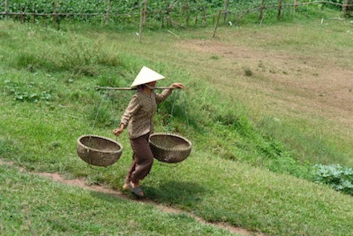 A Vietnamese farm worker. Photo©Getty Images