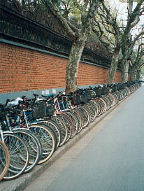 Many people ride bicycles, but are becoming less popular in big cities. Photo©kidcyber