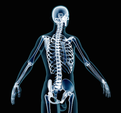 skeletonGetty.jpg