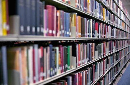 bookshelves.jpg