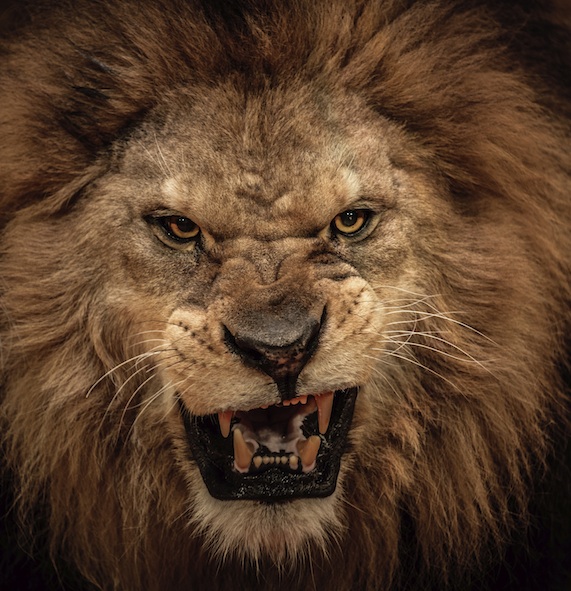 Getty Images