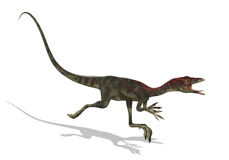 dino_compsagnathus_jup.jpg