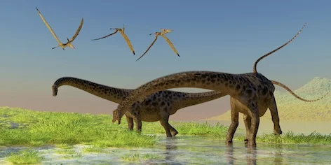 dino_diplodocus_jup.jpg