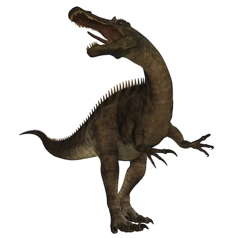dino_irritator_jup.jpg