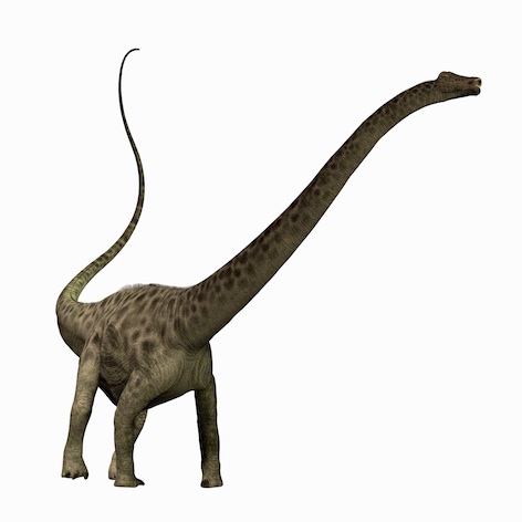 dinojanenschia_jup.jpg