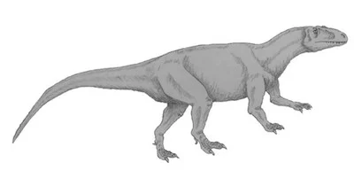 dinoXuanhanosaurus.jpg