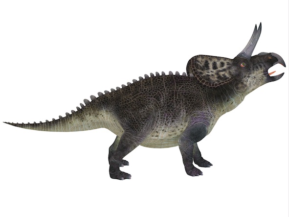 dino_zuniceratops_jup.jpg