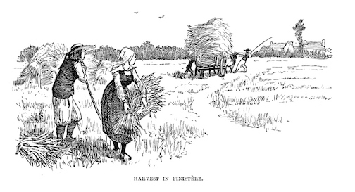 Harvesting wheat by hand. iStock/Getty Images
