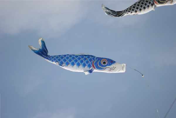 Carp kites are really windsocks
