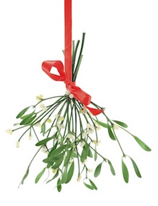 Mistletoe. ©Jupiter Images