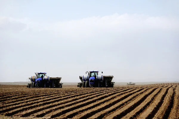 Tractors planting potatoes on a big farm. ©iStock