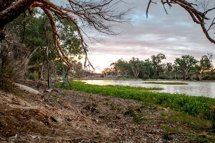 Cooper Creek© iStock