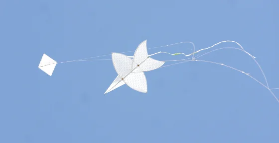 Kite fight between a chula and a pakpao kite. ©Getty