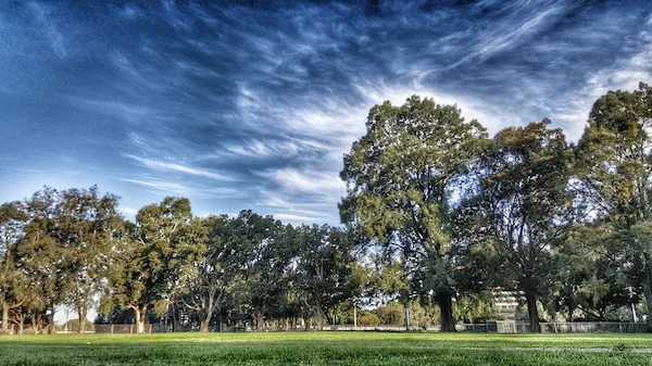 Cirrus clouds ©Getty
