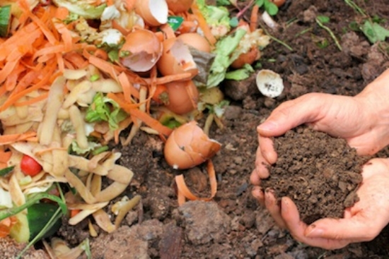 Worms have recycled kitchen scraps into compost for the garden ©Getty Images